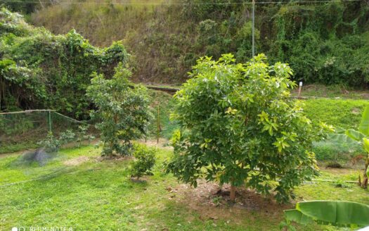 Casa Quinta en Urbanización Bosques de la Lagunita, El Hatillo